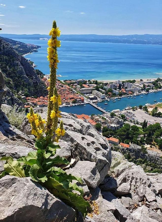 Apartamento Amazing Sea View Omiš Exterior foto